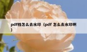 pdf档怎么去水印（pdf 怎么去水印啊）