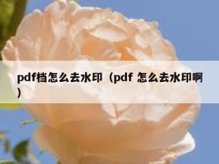 pdf档怎么去水印（pdf 怎么去水印啊）