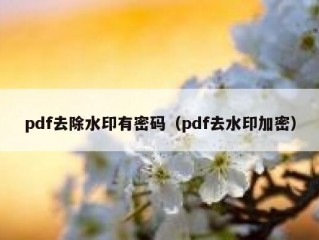 pdf去除水印有密码（pdf去水印加密）