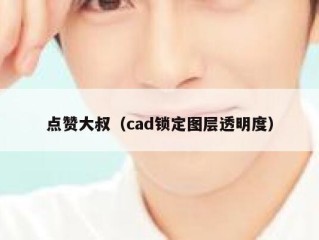 点赞大叔（cad锁定图层透明度）