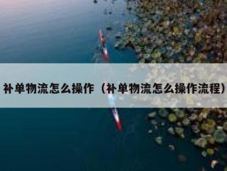 补单物流怎么操作（补单物流怎么操作流程）