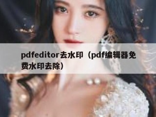 pdfeditor去水印（pdf编辑器免费水印去除）