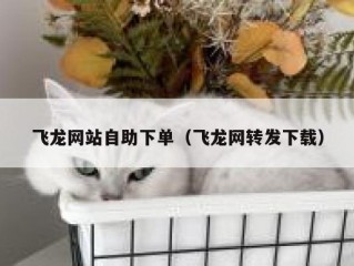 飞龙网站自助下单（飞龙网转发下载）