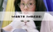 tnt自助下单（tnt购买渠道）