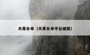 大麦补单（大麦补单平台被抓）