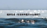 程序引流（引流软件是干什么用的?）