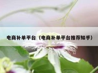 电商补单平台（电商补单平台推荐知乎）