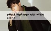 pdf去水印无痕的app（去除pdf水印的软件）