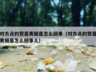 对方点的赞是黄圈是怎么回事（对方点的赞是黄圈是怎么回事儿）