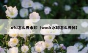 ofd怎么去水印（wodr水印怎么去掉）