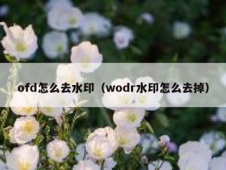 ofd怎么去水印（wodr水印怎么去掉）