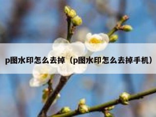 p图水印怎么去掉（p图水印怎么去掉手机）