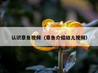 认识章鱼视频（章鱼介绍幼儿视频）