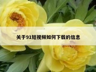 关于91短视频如何下载的信息