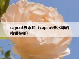 capcut去水印（capcut去水印的按钮在哪）