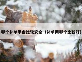 哪个补单平台比较安全（补单网哪个比较好）