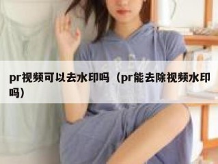 pr视频可以去水印吗（pr能去除视频水印吗）