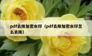 pdf去除加密水印（pdf去除加密水印怎么去除）