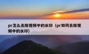 pr怎么去除视频中的水印（pr如何去除视频中的水印）