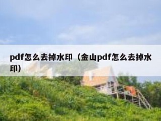 pdf怎么去掉水印（金山pdf怎么去掉水印）