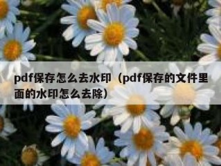 pdf保存怎么去水印（pdf保存的文件里面的水印怎么去除）