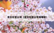 竞价托管公司（竞价托管公司有哪些）