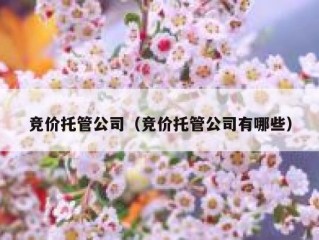 竞价托管公司（竞价托管公司有哪些）