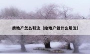 房地产怎么引流（给地产做什么引流）