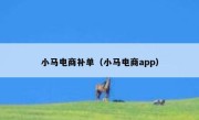 小马电商补单（小马电商app）