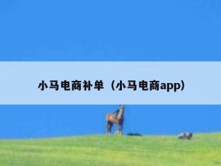 小马电商补单（小马电商app）