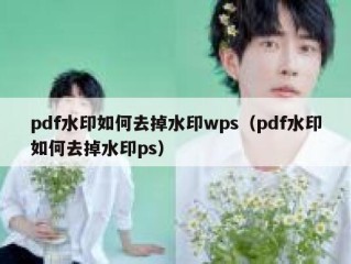 pdf水印如何去掉水印wps（pdf水印如何去掉水印ps）