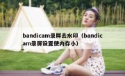 bandicam录屏去水印（bandicam录屏设置使内存小）