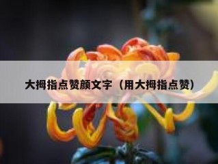 大拇指点赞颜文字（用大拇指点赞）