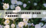 独立站tiktok引流真实现状（独立站推广渠道有哪些）