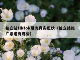 独立站tiktok引流真实现状（独立站推广渠道有哪些）