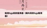 租用bgp高防服务器（国内高防bgp服务器）