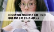 excel表格里的水印怎么去掉（excel表格里的水印怎么去掉图片）