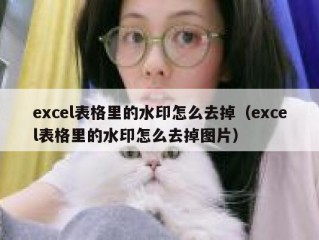 excel表格里的水印怎么去掉（excel表格里的水印怎么去掉图片）