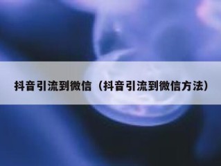 抖音引流到微信（抖音引流到微信方法）