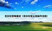 竞价托管哪里好（竞价托管公司操作流程）