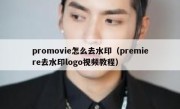 promovie怎么去水印（premiere去水印logo视频教程）