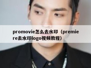 promovie怎么去水印（premiere去水印logo视频教程）