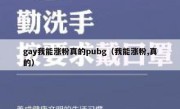 gay我能涨粉真的pubg（我能涨粉,真的）