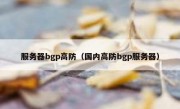 服务器bgp高防（国内高防bgp服务器）