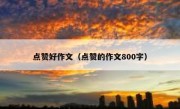 点赞好作文（点赞的作文800字）