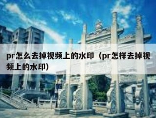 pr怎么去掉视频上的水印（pr怎样去掉视频上的水印）