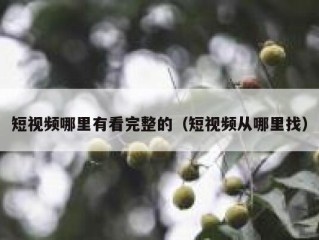 短视频哪里有看完整的（短视频从哪里找）