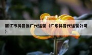 廉江市抖音推广代运营（广东抖音代运营公司）