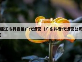 廉江市抖音推广代运营（广东抖音代运营公司）