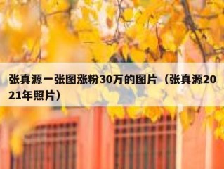 张真源一张图涨粉30万的图片（张真源2021年照片）